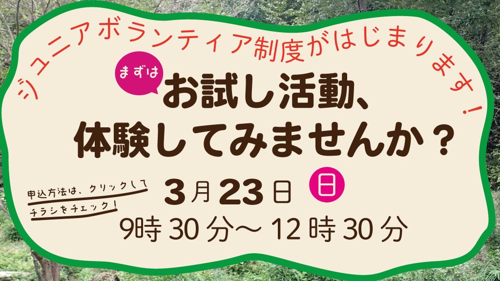 ジュニアボランティアお試し活動日②