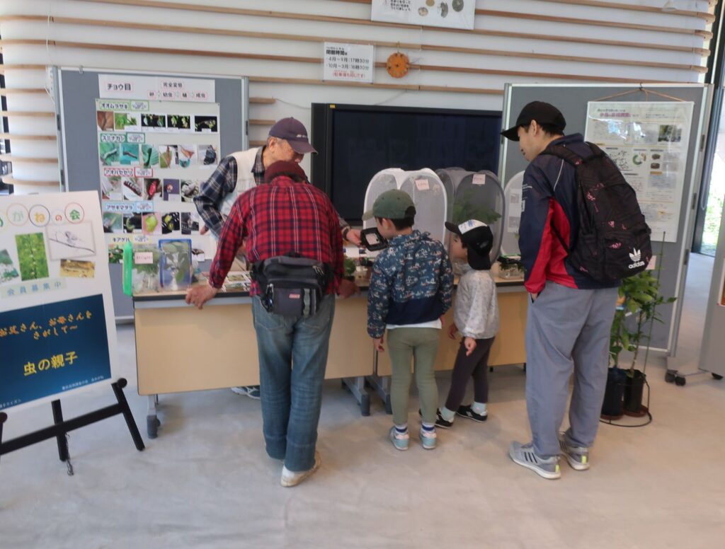豊田自然調査の会 虫めがね 展示