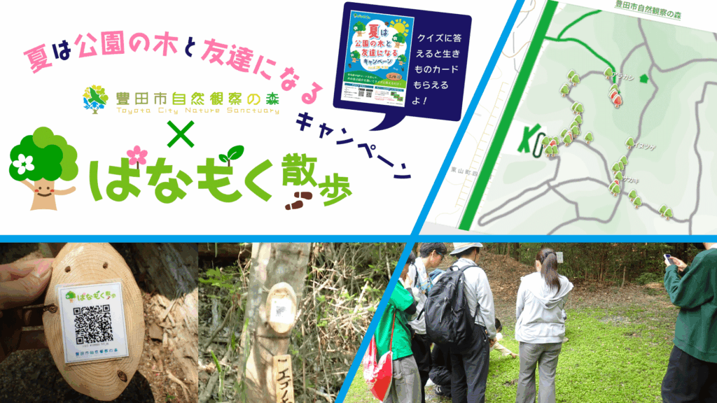 はなもく散歩