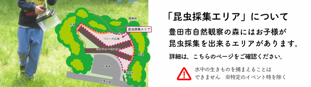 昆虫採集エリア