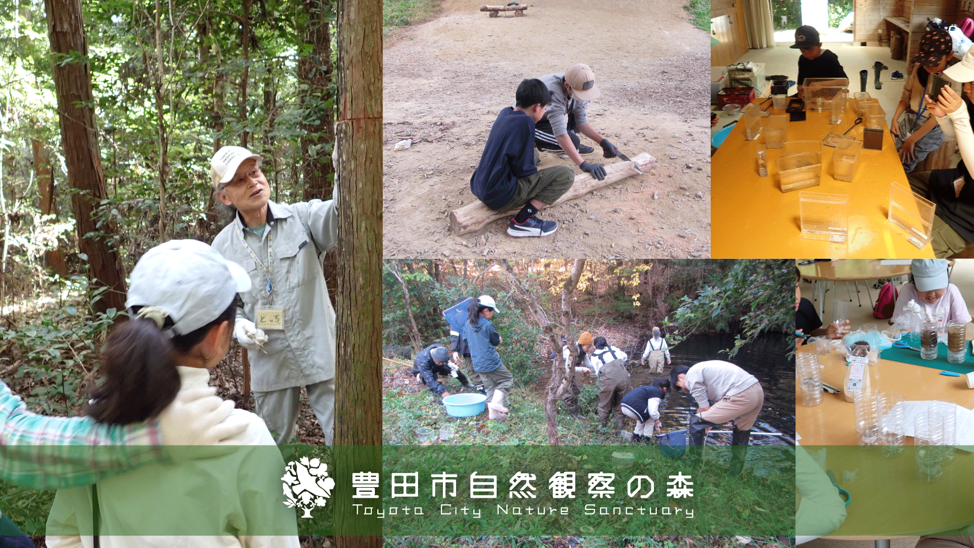 ジュニアボランティア