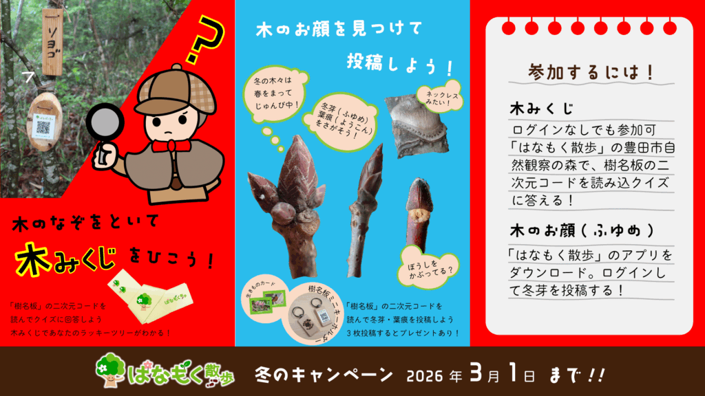 はなもく散歩冬のキャンペーン